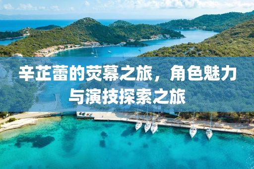 辛芷蕾的荧幕之旅，角色魅力与演技探索之旅
