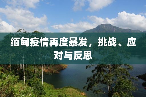 缅甸疫情再度暴发，挑战、应对与反思
