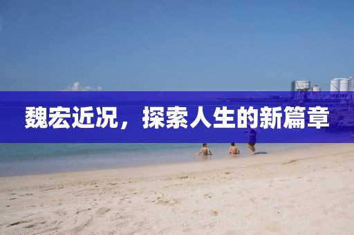魏宏近况，探索人生的新篇章