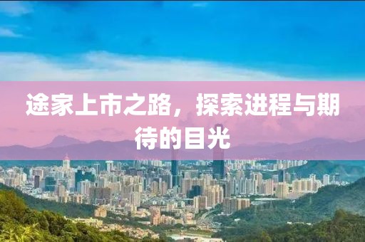 途家上市之路，探索进程与期待的目光