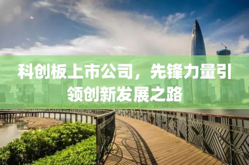科创板上市公司，先锋力量引领创新发展之路