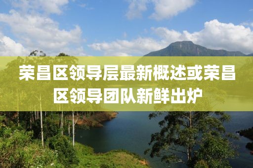 荣昌区领导层最新概述或荣昌区领导团队新鲜出炉