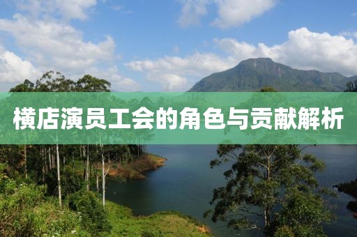 横店演员工会的角色与贡献解析