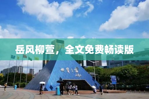岳风柳萱，全文免费畅读版