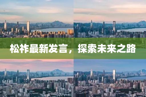松祚最新发言，探索未来之路