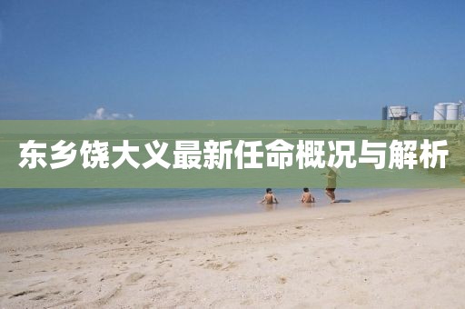 东乡饶大义最新任命概况与解析