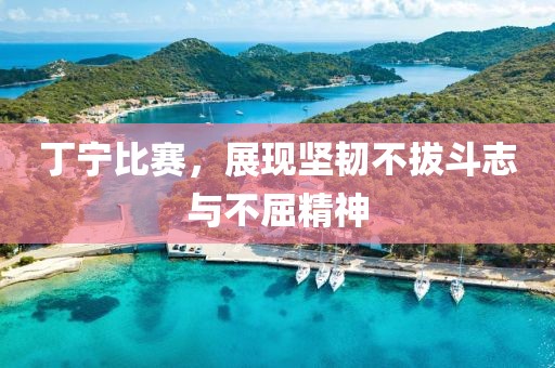 丁宁比赛，展现坚韧不拔斗志与不屈精神