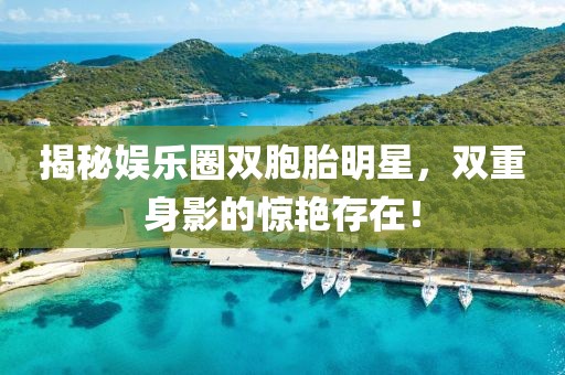 揭秘娱乐圈双胞胎明星，双重身影的惊艳存在！