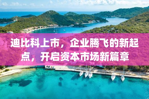 迪比科上市，企业腾飞的新起点，开启资本市场新篇章