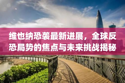 维也纳恐袭最新进展，全球反恐局势的焦点与未来挑战揭秘