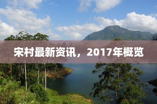 宋村最新资讯，2017年概览