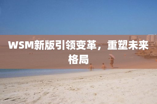 WSM新版引领变革，重塑未来格局
