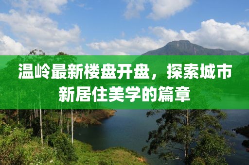 温岭最新楼盘开盘，探索城市新居住美学的篇章