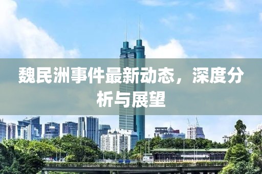 魏民洲事件最新动态，深度分析与展望