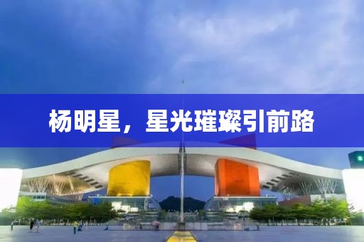 杨明星，星光璀璨引前路
