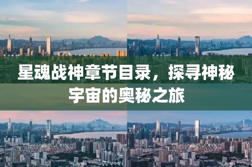 硕易真 第2页