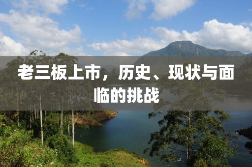 老三板上市，历史、现状与面临的挑战