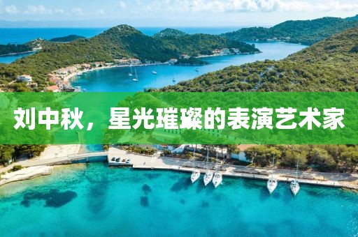 刘中秋，星光璀璨的表演艺术家
