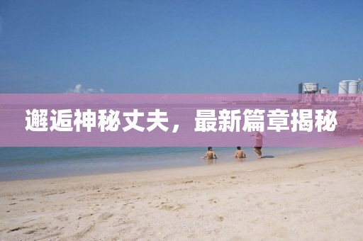 邂逅神秘丈夫，最新篇章揭秘