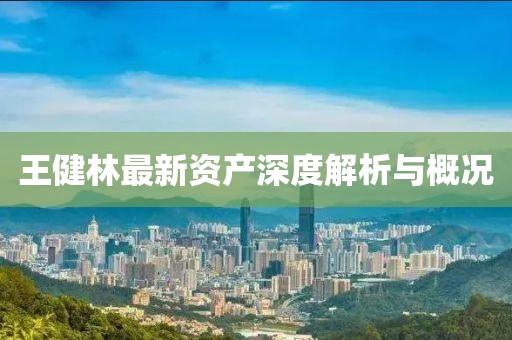 王健林最新资产深度解析与概况