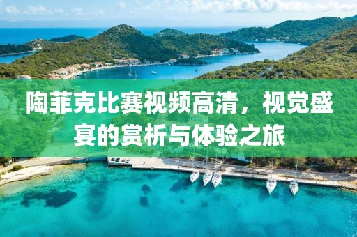 陶菲克比赛视频高清，视觉盛宴的赏析与体验之旅