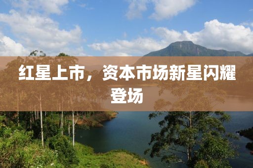 黎天罡 第3页