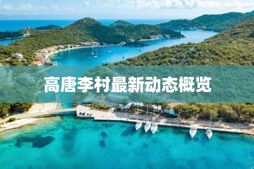 高唐李村最新动态概览