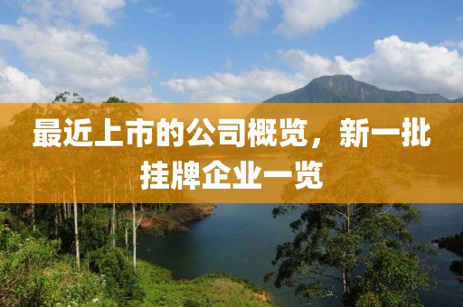 最近上市的公司概览，新一批挂牌企业一览