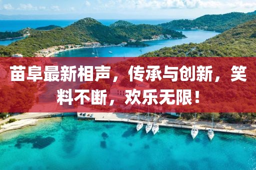 苗阜最新相声，传承与创新，笑料不断，欢乐无限！