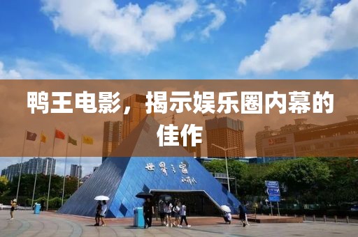 鸭王电影，揭示娱乐圈内幕的佳作