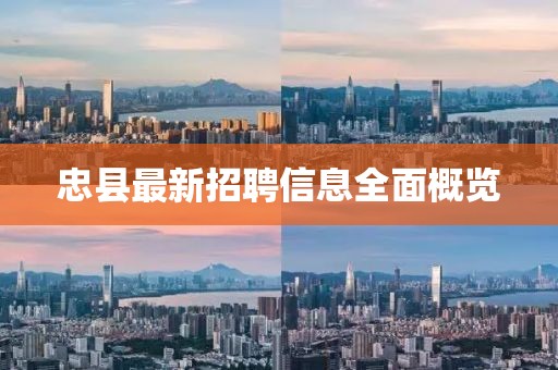 忠县最新招聘信息全面概览