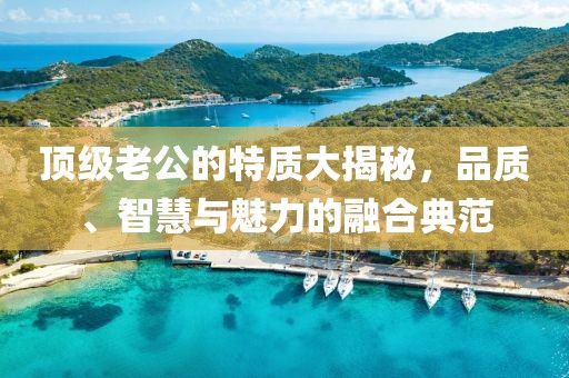 顶级老公的特质大揭秘，品质、智慧与魅力的融合典范