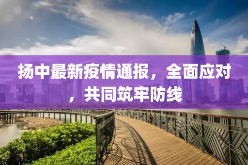 扬中最新疫情通报，全面应对，共同筑牢防线