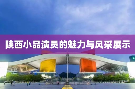 陕西小品演员的魅力与风采展示