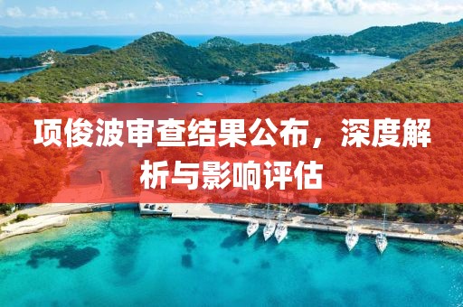 项俊波审查结果公布，深度解析与影响评估