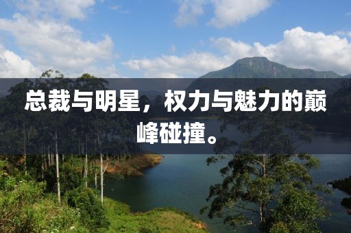 总裁与明星，权力与魅力的巅峰碰撞。