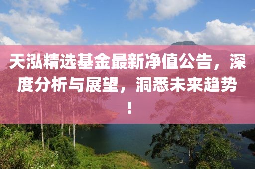 天泓精选基金最新净值公告，深度分析与展望，洞悉未来趋势！
