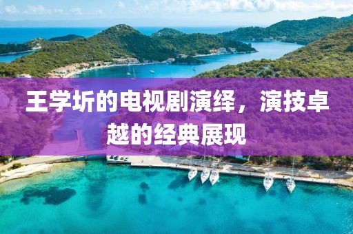 王学圻的电视剧演绎，演技卓越的经典展现