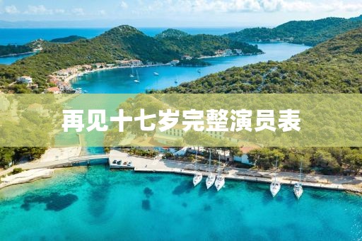 再见十七岁完整演员表