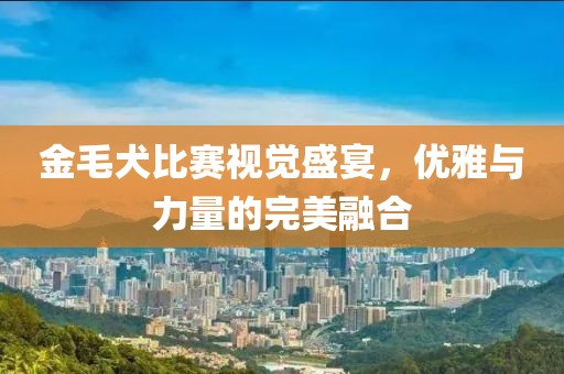 金毛犬比赛视觉盛宴，优雅与力量的完美融合