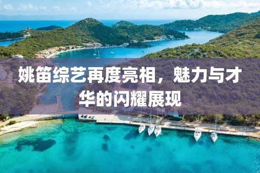 姚笛综艺再度亮相，魅力与才华的闪耀展现