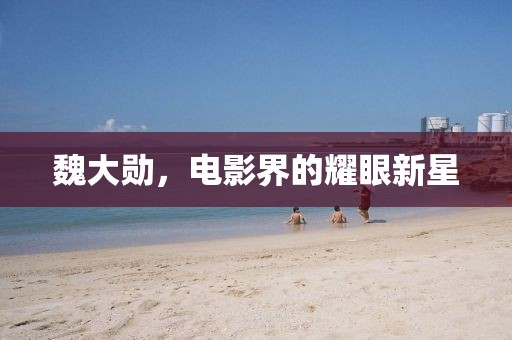 魏大勋，电影界的耀眼新星