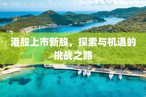 港股上市新股，探索与机遇的挑战之路