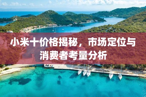 小米十价格揭秘，市场定位与消费者考量分析