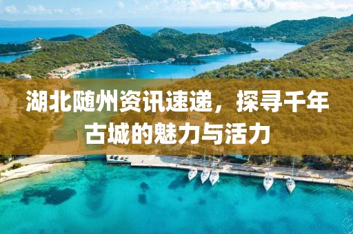 湖北随州资讯速递，探寻千年古城的魅力与活力