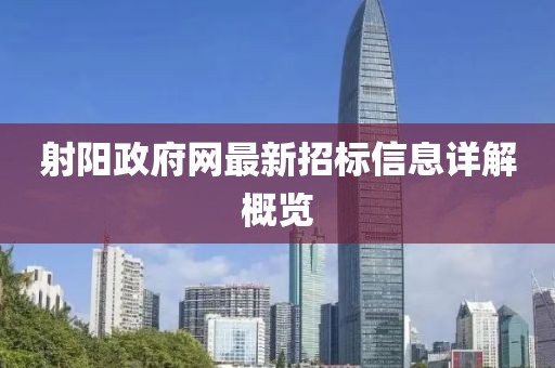 射阳政府网最新招标信息详解概览