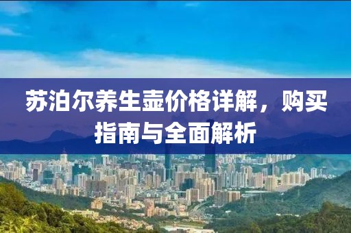 苏泊尔养生壶价格详解，购买指南与全面解析