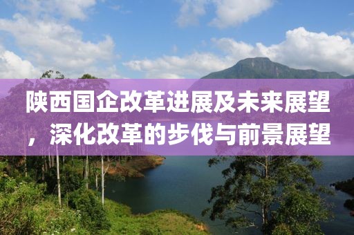 陕西国企改革进展及未来展望，深化改革的步伐与前景展望