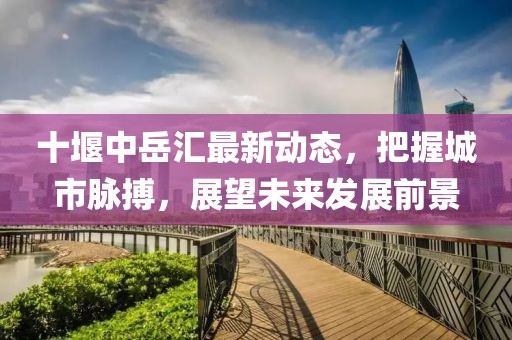 十堰中岳汇最新动态，把握城市脉搏，展望未来发展前景