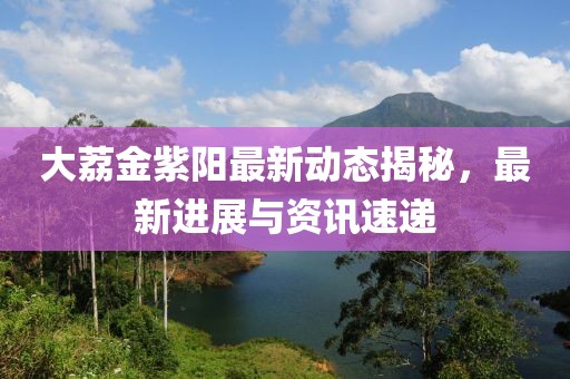 大荔金紫阳最新动态揭秘，最新进展与资讯速递
